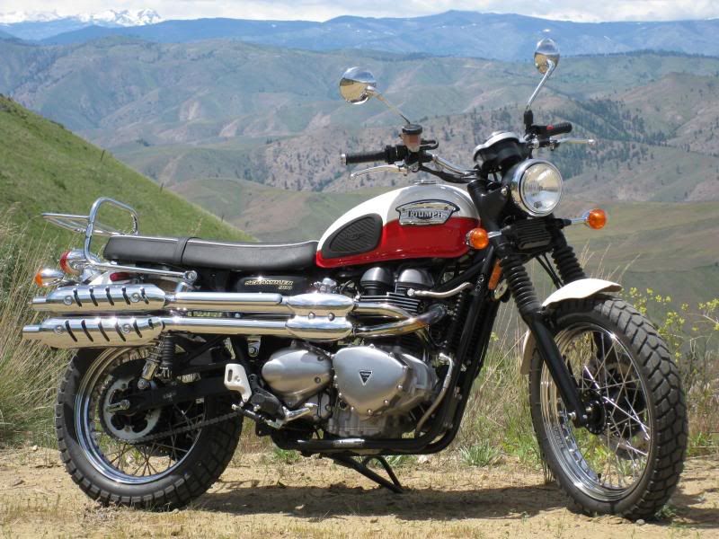 what-makes-a-scrambler-triumph-rat-motorcycle-forums